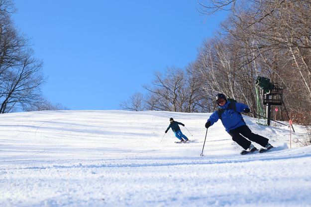 Picture of 1 Hour Private Ski Lesson