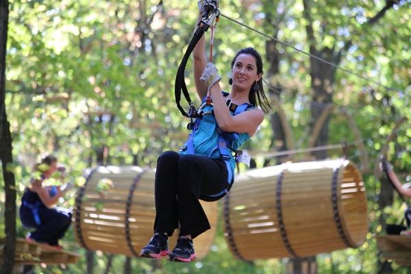 Picture for category Aerial Adventure Park