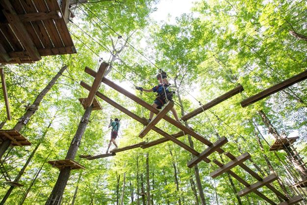 Picture of Aerial Adventure Park